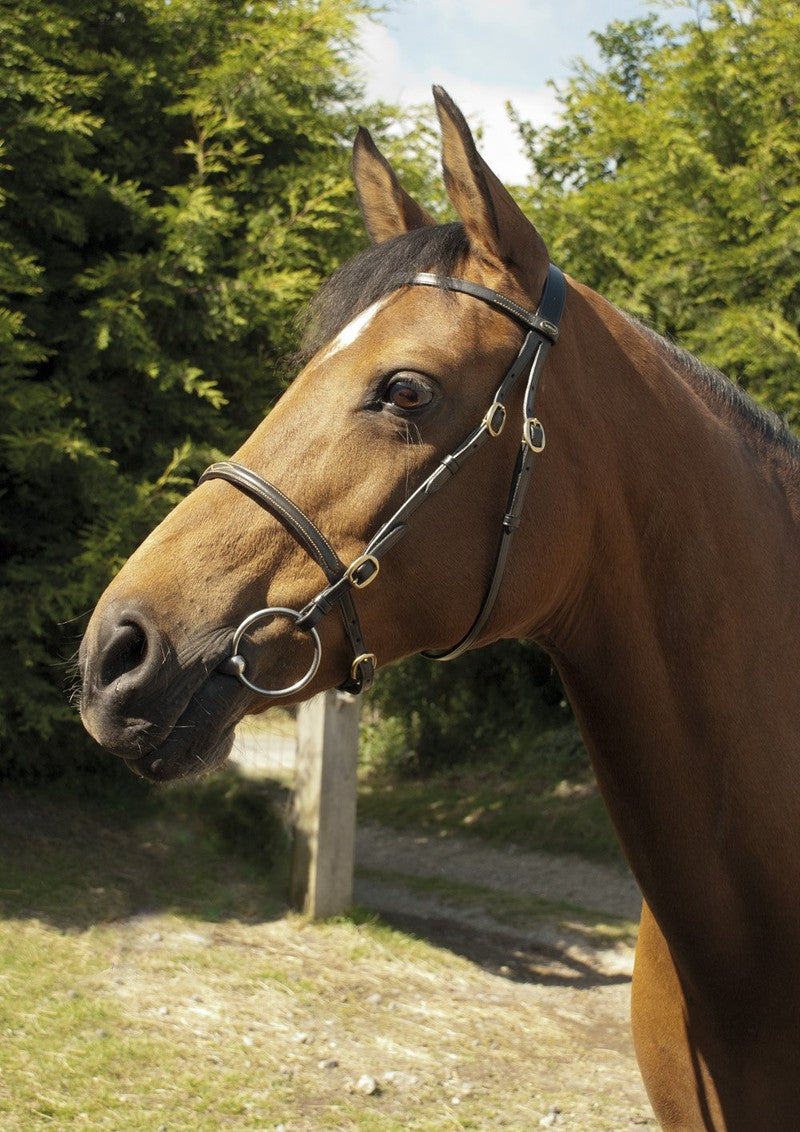 Heritage Saddlery English Leather In-Hand Bridle