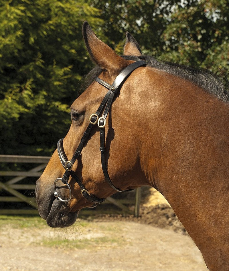 Heritage Saddlery English Leather In-Hand Bridle