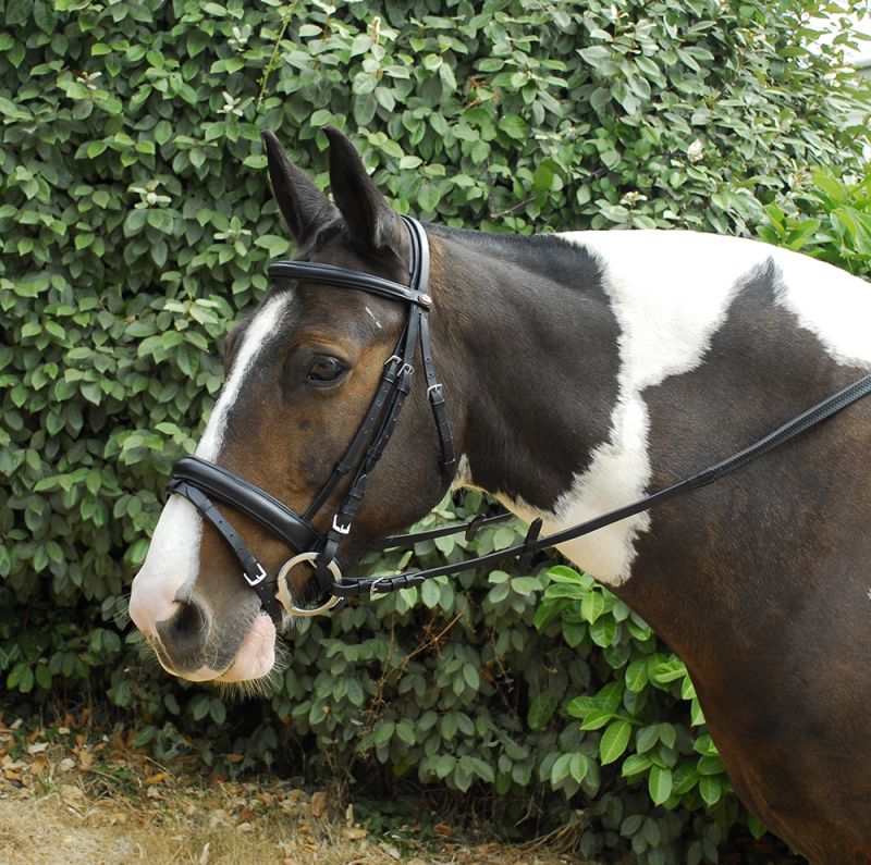 Windsor Leather ‘Comfort’ Bridle With Crank Style Flash Noseband No Pressure Headpiece Design