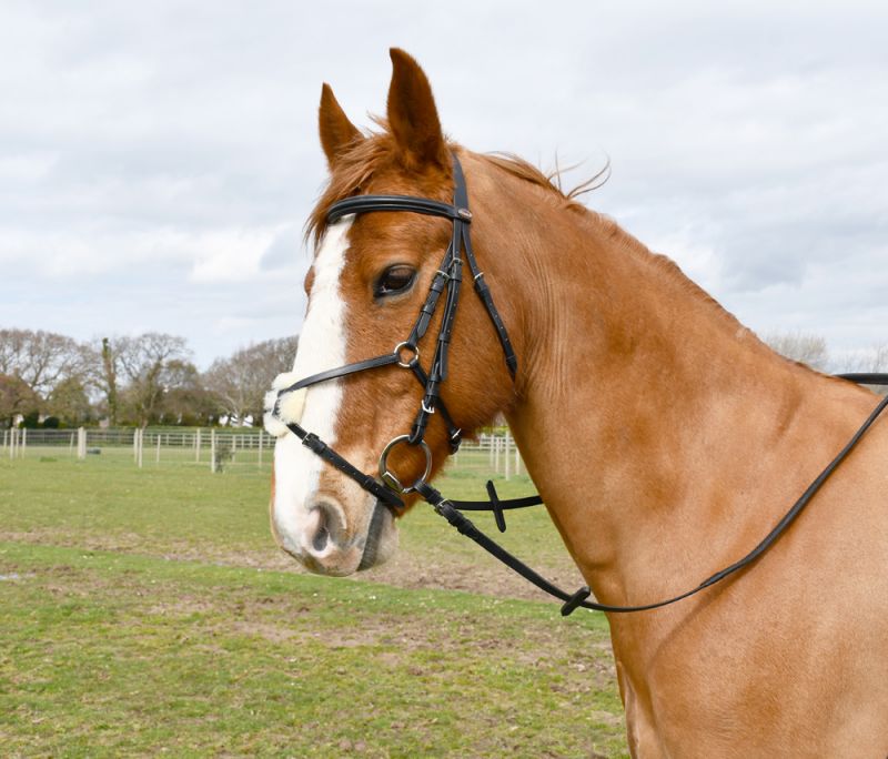 Windsor Leather Mexican Bridle Includes Rubber Covered Reins