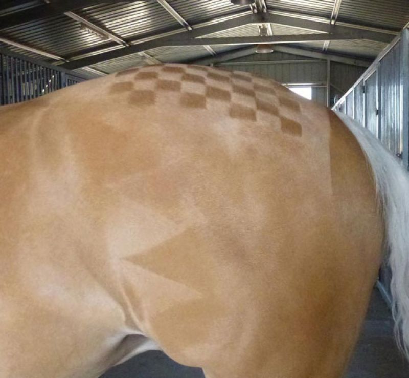 Quartermarkers In Squares