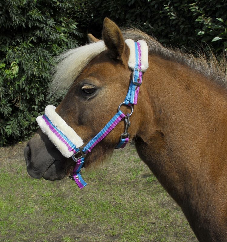 Rhinegold Bright Striped Fur Trim Small Pony Headcollar Mini Shetland Available!