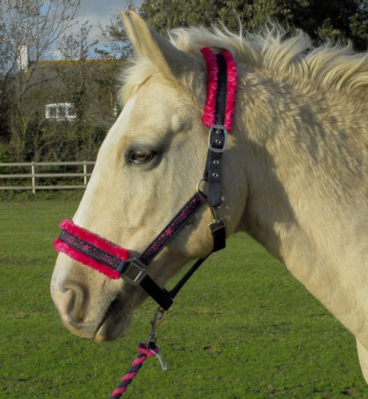 Rhinegold Crystal Star Headcollar & Lead Rope Set