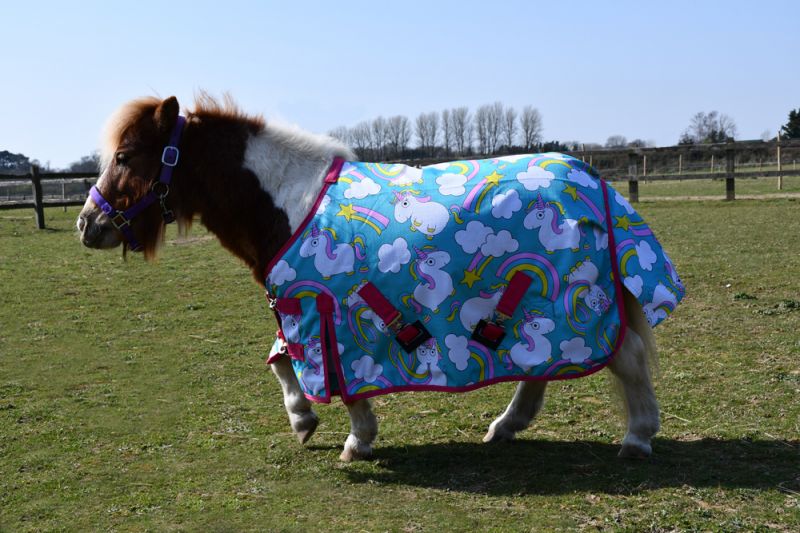 Rhinegold Unicorn Mini Torrent Outdoor Rug