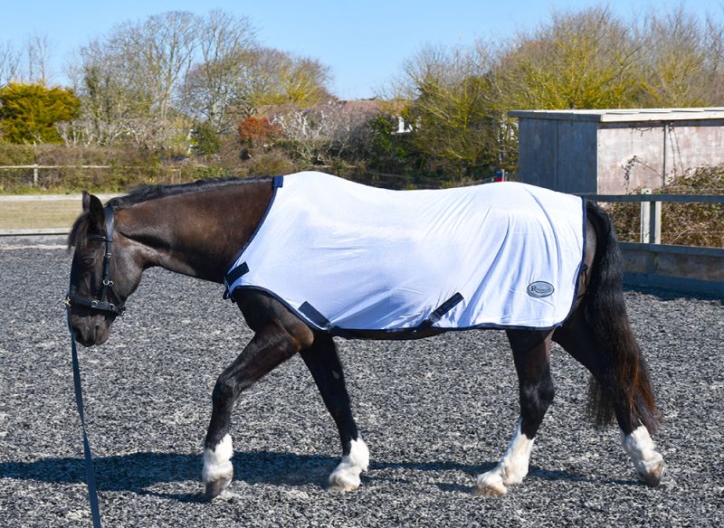 Rhinegold Rehab/Horse Walker Rug