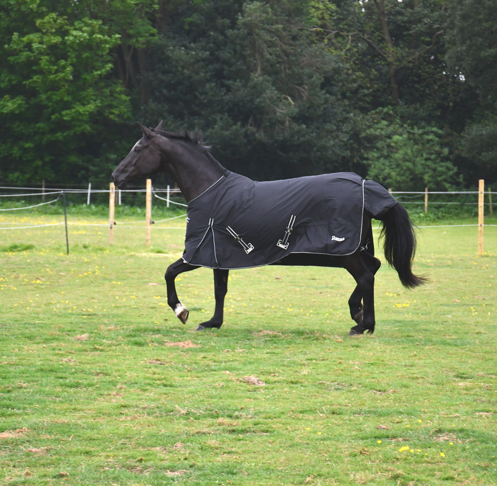 Rhinegold Bolivia Lightweight Outdoor Rug