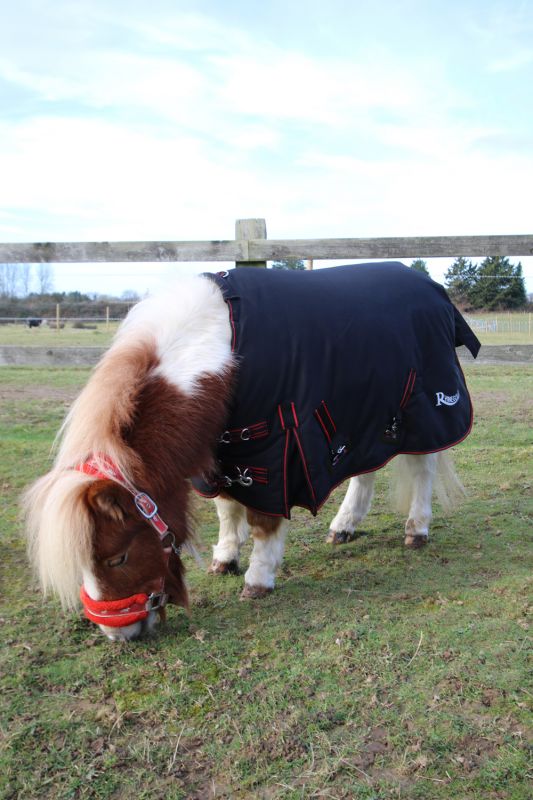 Rhinegold Mini Thor Outdoor Rug