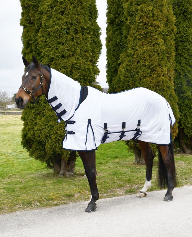 Rhinegold Africa Combo Fly Rug NEW FOR 2025 - Zebra