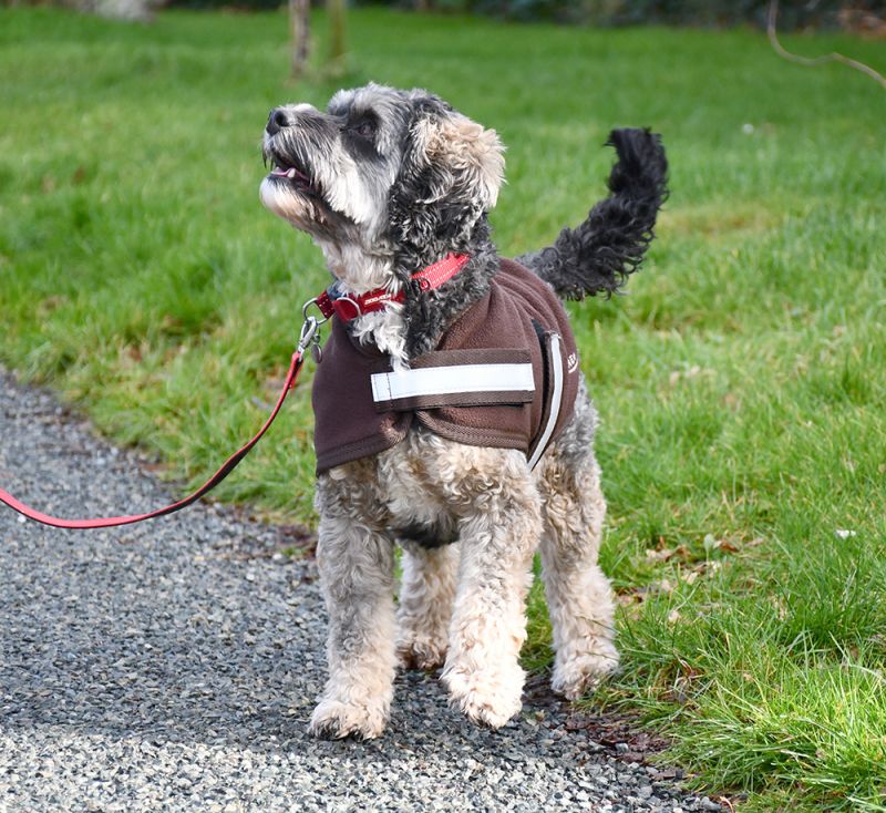 Rhinegold Dog Fleece