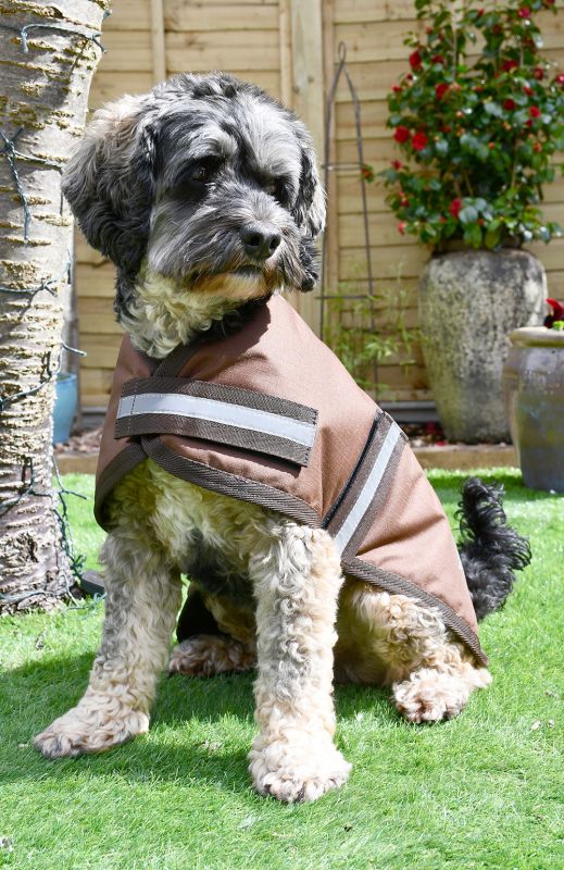 Rhinegold Waterproof Dog Coat
