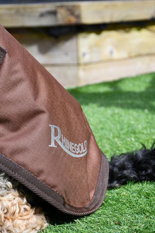 Rhinegold Waterproof Dog Coat