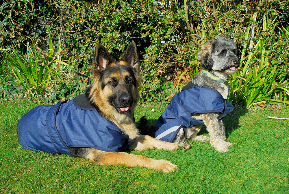 Rhinegold Highland Waterproof Dog Coats Fully Lined, No Fill