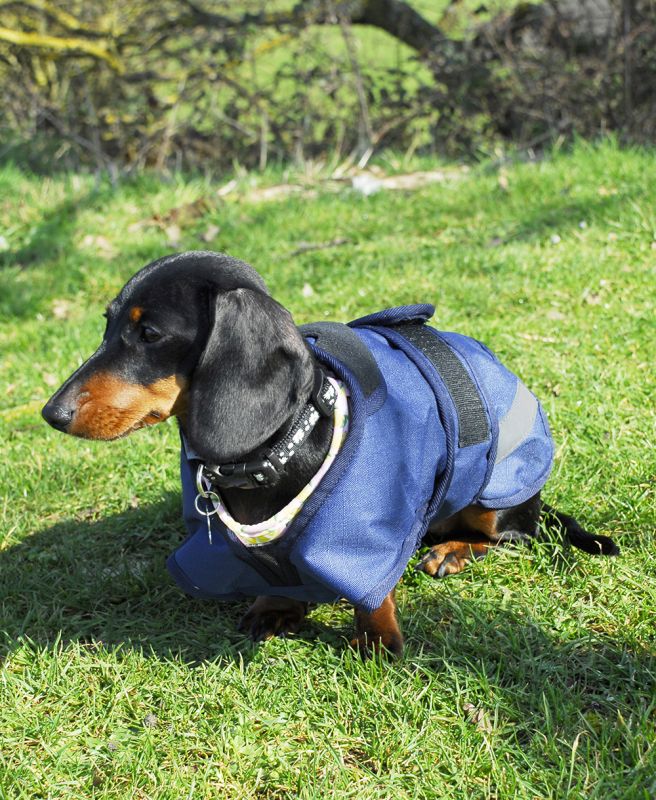 Rhinegold Highland Waterproof Dog Coats Fully Lined, No Fill