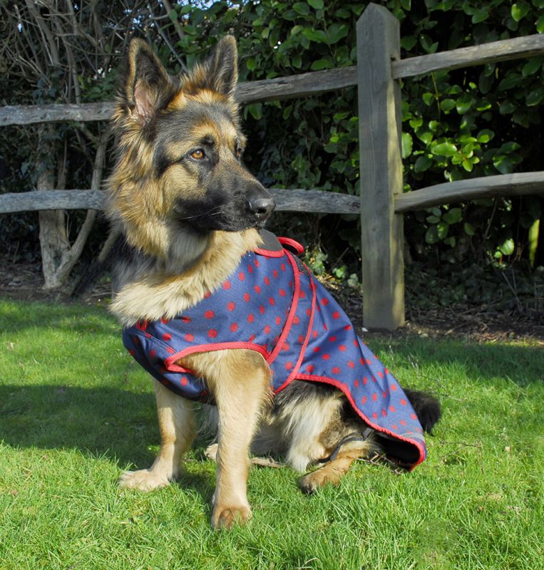 Rhinegold Highland Waterproof Dog Coats Fully Lined, No Fill