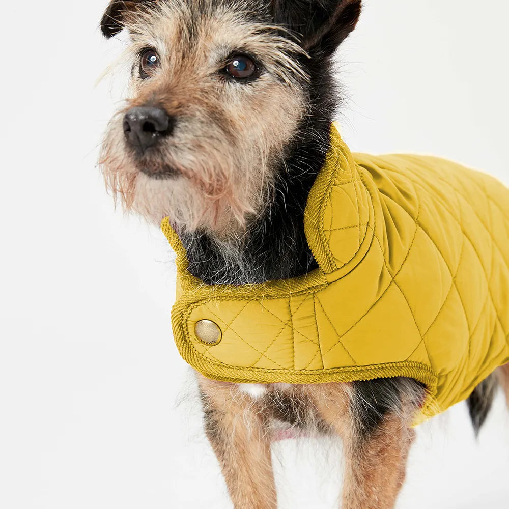 Joules Quilted Dog Coat