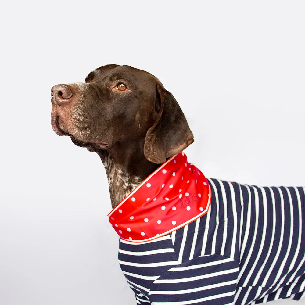 Joules Harbour Top & Neckerchief Set - medium only