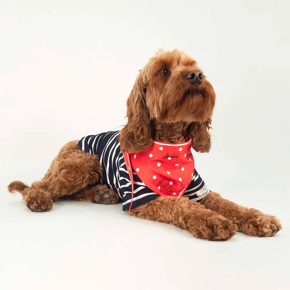 Joules Harbour Top & Neckerchief Set - medium only