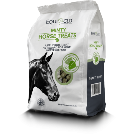 EquiGlo Minty Horse Treats 1kg ( Mr Johnson)